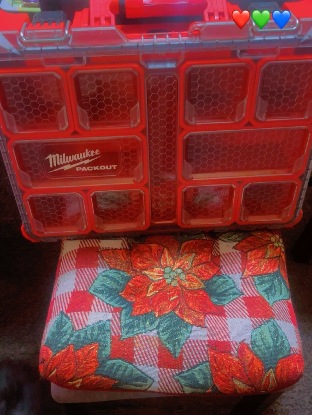 Red Packout Organizer Case - Durable Tool Storage